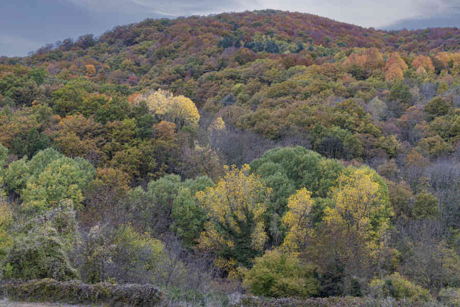 Comunidad Foral de Navarra 149 - valle de Roncal.jpg